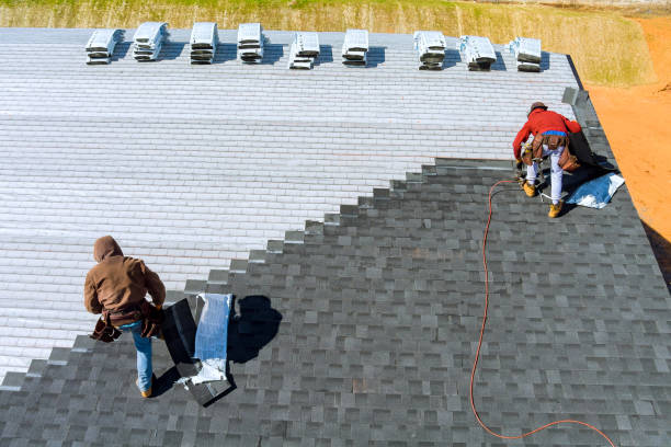 Best Storm Damage Roof Repair  in Kingston, TN